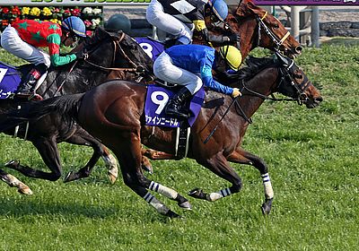 2018高松宮記念_ファインニードル