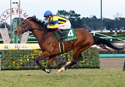 2023京成杯_ソールオリエンス