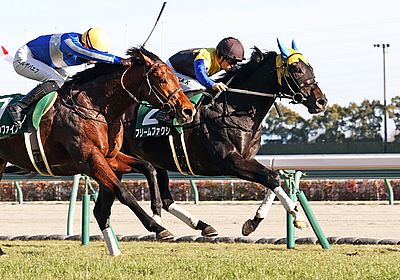 2023きさらぎ賞_フリームファクシ