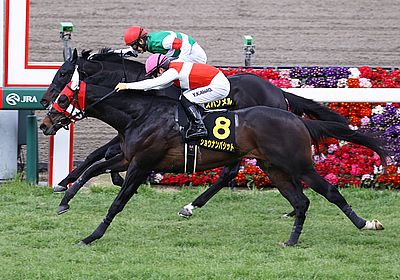2023若葉S_ショウナンバシット