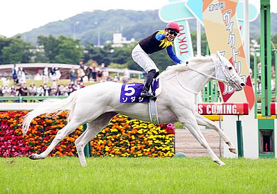 ヴィクトリアマイル(G1) 2024 特集 出走予定馬・競馬予想・レース傾向 - WIN!競馬