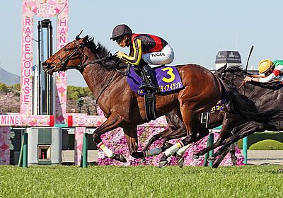 リバティアイランド