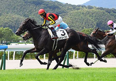 オークス(優駿牝馬)(G1) 2023 特集 - WIN!競馬