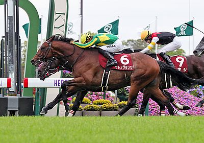 2023京都新聞杯_サトノグランツ