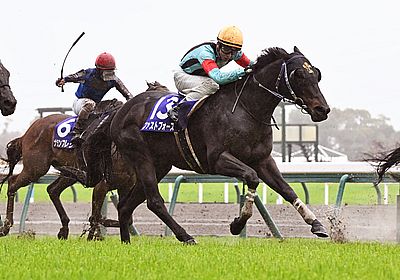 2023高松宮記念_ファストフォース