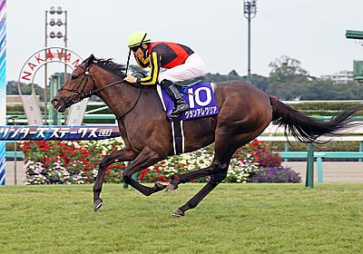 スプリンターズステークス(G1) 2024 特集 出走予定馬・競馬予想・レース傾向 - WIN!競馬