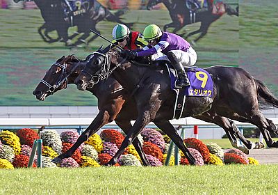 2018菊花賞_フィエールマン