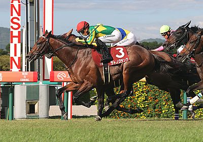 2023神戸新聞杯_サトノグランツ