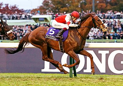 ジャパンカップ(G1) 2023 特集 - WIN!競馬