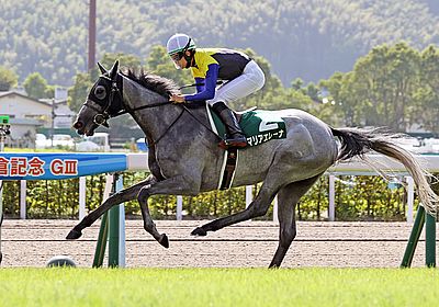 エリザベス女王杯(G1) 2023 特集 - WIN!競馬