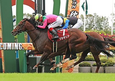 2023京都大賞典_プラダリア