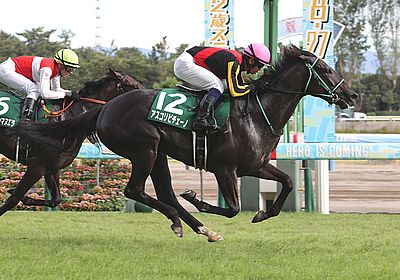 2023新潟2歳S_アスコリピチェーノ
