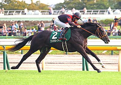 2023サウジアラビアRC_ドゴンバデカーブース