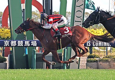 2023スワンS_ウイングレイテスト