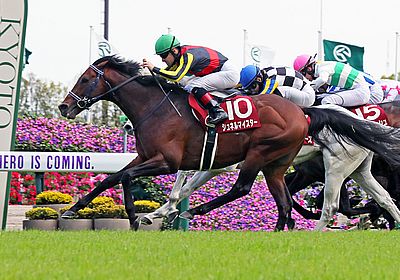 マイルチャンピオンシップ(G1) 2023 特集 - WIN!競馬