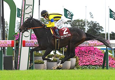 2023デイリー杯2歳S_ジャンタルマンタル