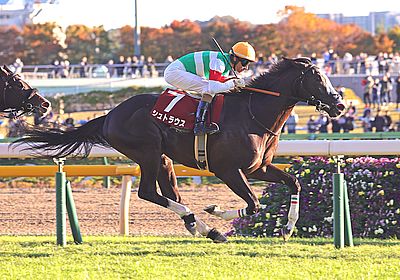 2023東京スポーツ杯2歳S_シュトラウス