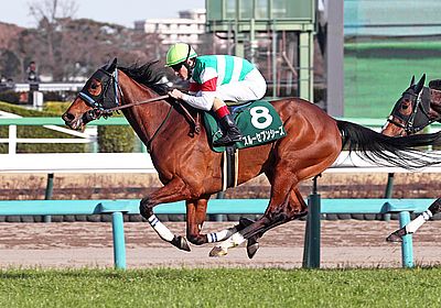 スルーセブンシーズ