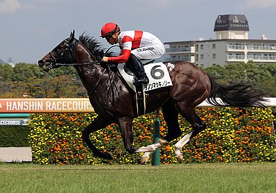 ダノンマッキンリー