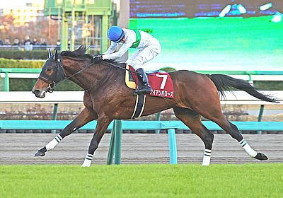 2023ステイヤーズS_アイアンバローズ