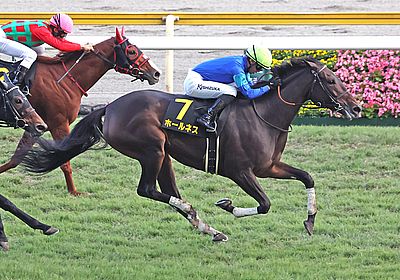 2024新潟牝馬S_ホールネス