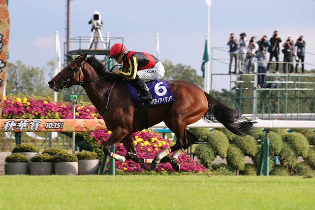 2024年最新】JRA（中央競馬）牝馬三冠馬（桜花賞・オークス・秋華賞 