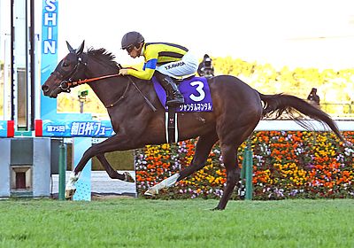 朝日杯フューチュリティステークス(G1) 2024 特集 出走予定馬・競馬予想・レース傾向 - WIN!競馬