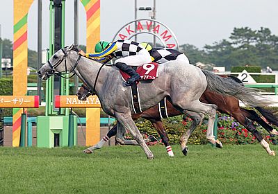 2017年 フェブラリーステークス（GⅠ） | ゴールドドリーム | JRA公式
