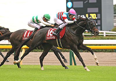 2024富士S_ジュンブロッサム