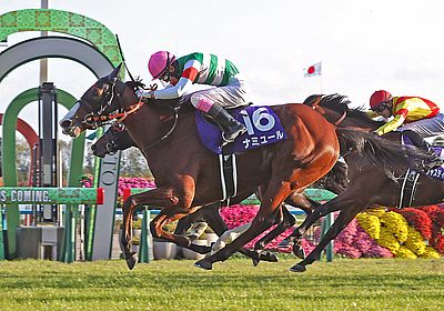 ヴィクトリアマイル(G1) 2024 特集 出走予定馬・競馬予想・レース傾向 - WIN!競馬