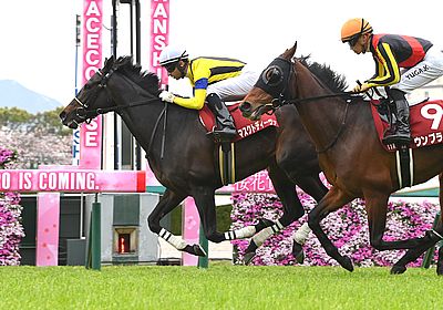 ヴィクトリアマイル(G1) 2024 特集 出走予定馬・競馬予想・レース傾向 - WIN!競馬