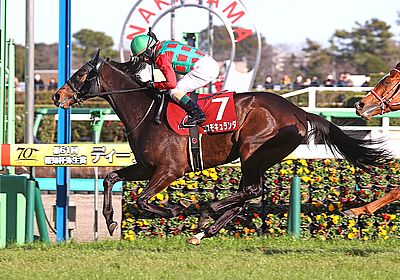 日本ダービー(東京優駿)(G1) 2024 特集 出走予定馬・競馬予想・レース傾向 - WIN!競馬