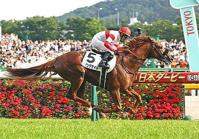 菊花賞(G1) 2024 特集 出走予定馬・競馬予想・レース傾向 - WIN!競馬