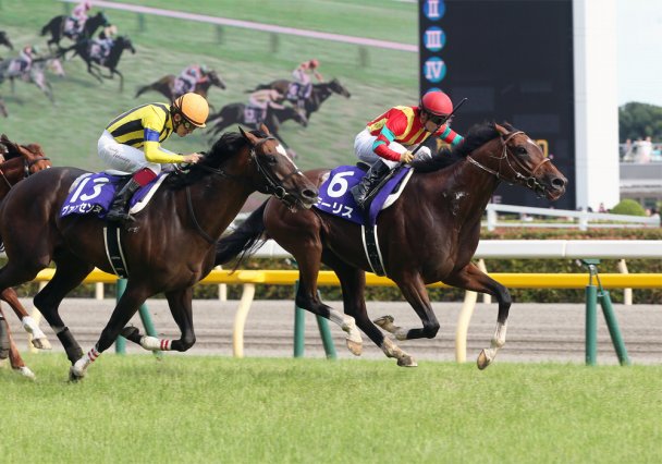 モーリス
