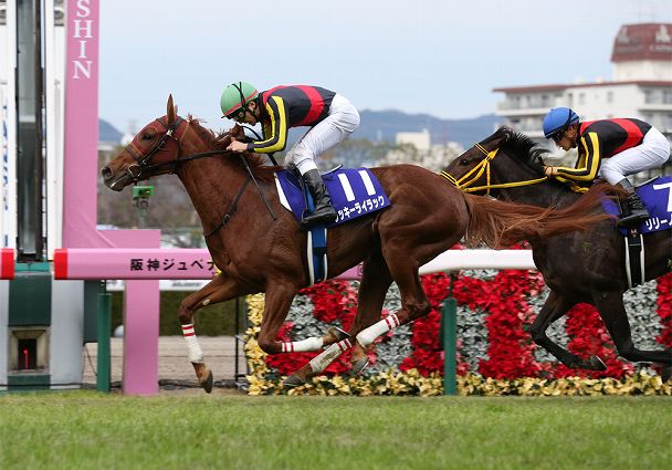 ラッキーライラック