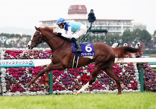 アドマイヤマーズ