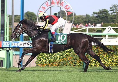 2024京成杯AH_アスコリピチェーノ
