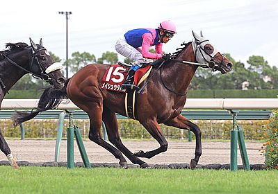 2024神戸新聞杯_メイショウタバル