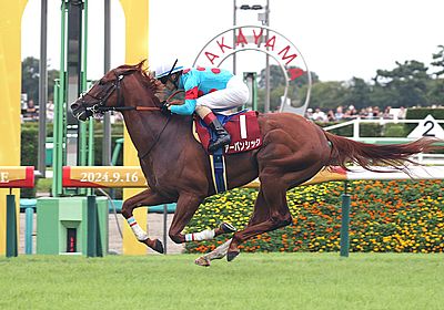 2024セントライト記念_アーバンシック