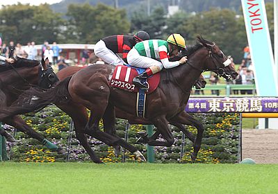 2024毎日王冠_シックスペンス