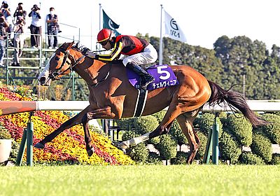 ジャパンカップ(G1) 2024 特集 出走予定馬・競馬予想・レース傾向 - WIN!競馬