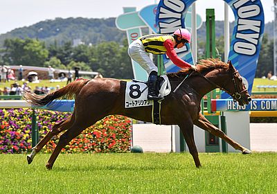 阪神ジュベナイルフィリーズ(G1) 2024 特集 出走予定馬・競馬