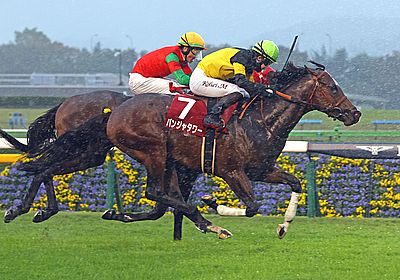 2024京王杯2歳S_パンジャタワー
