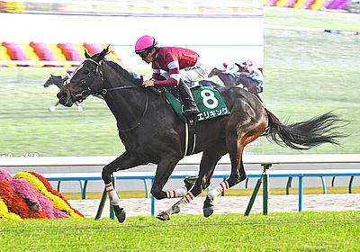 2024京都2歳S_エリキング