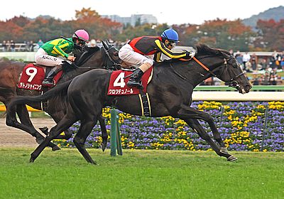 2024東京スポーツ杯2歳S_クロワデュノール