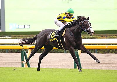 ホープフルステークス(G1) 2024 特集 出走予定馬・競馬予想・レース傾向 - WIN!競馬