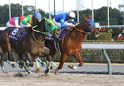 Amazon.co.jp: JRA チャンピオンズカップ G1 限定 マナカ 競馬