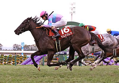2024阪神C_ナムラクレア