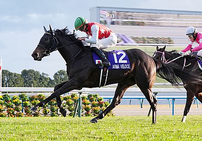2025阪神ジュベナイルF_アルマヴェローチェ