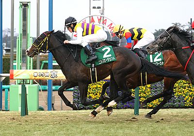 2025京成杯_ニシノエージェント